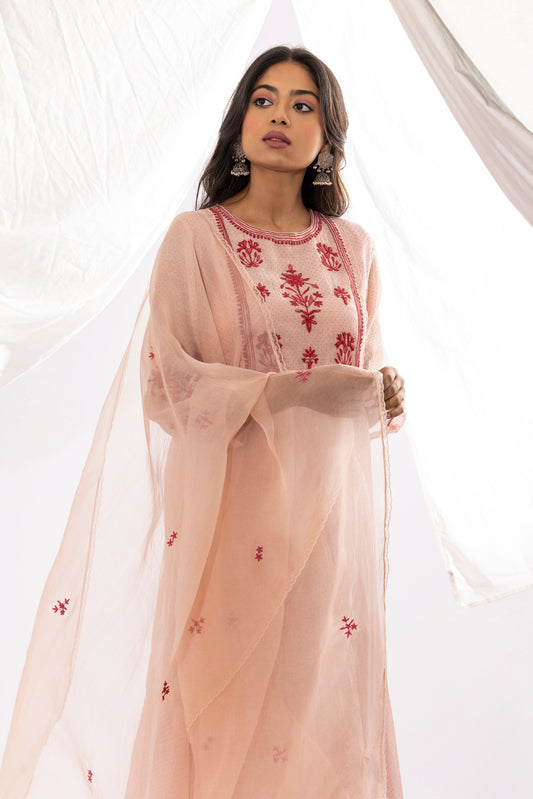 Misty rose embroidered kurta set