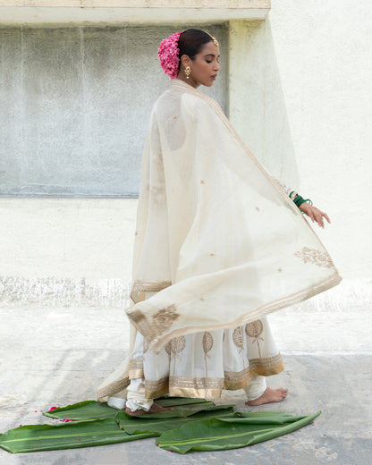 Arsheen Embroidered Dupatta