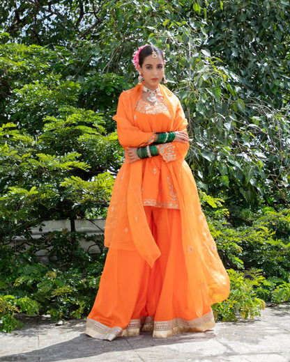 Ishaal Printed Sharara