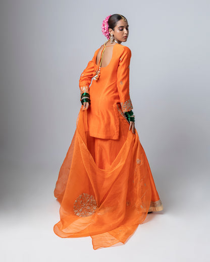 Ishaal Embroidered Dupatta