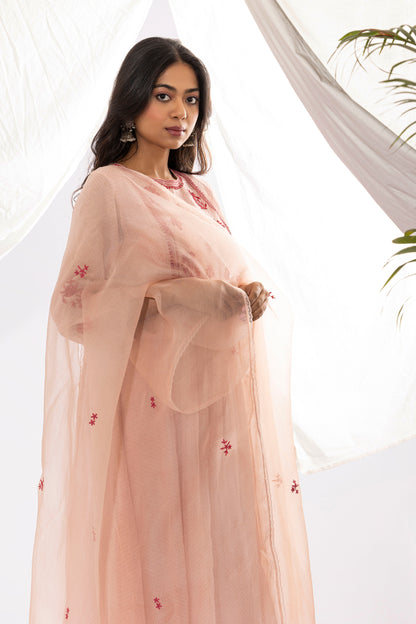 MISTY ROSE EMBROIDERED DUPATTA