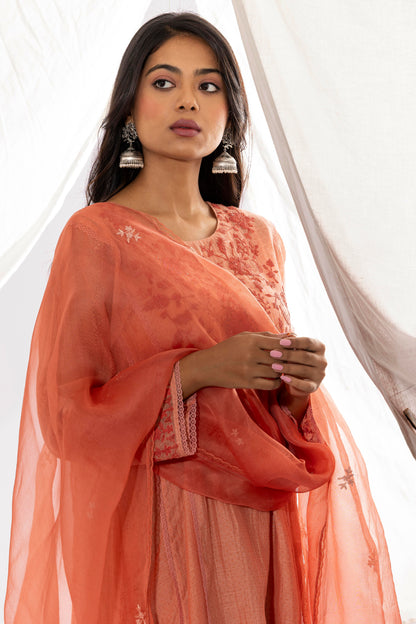 PEACH EMBROIDERED DUPATTA