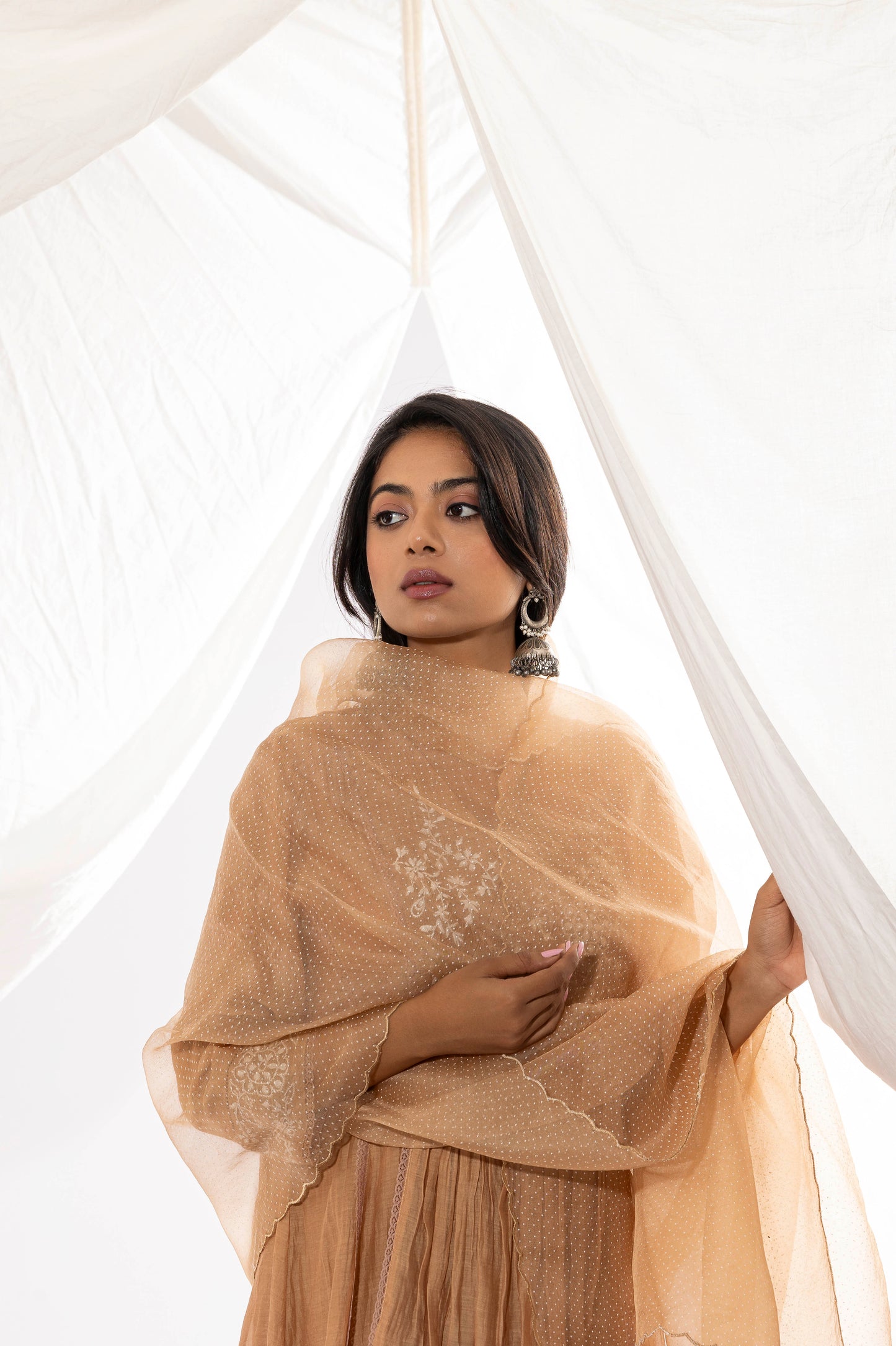 FRENCH BEIGE EMBROIDERED DUPATTA