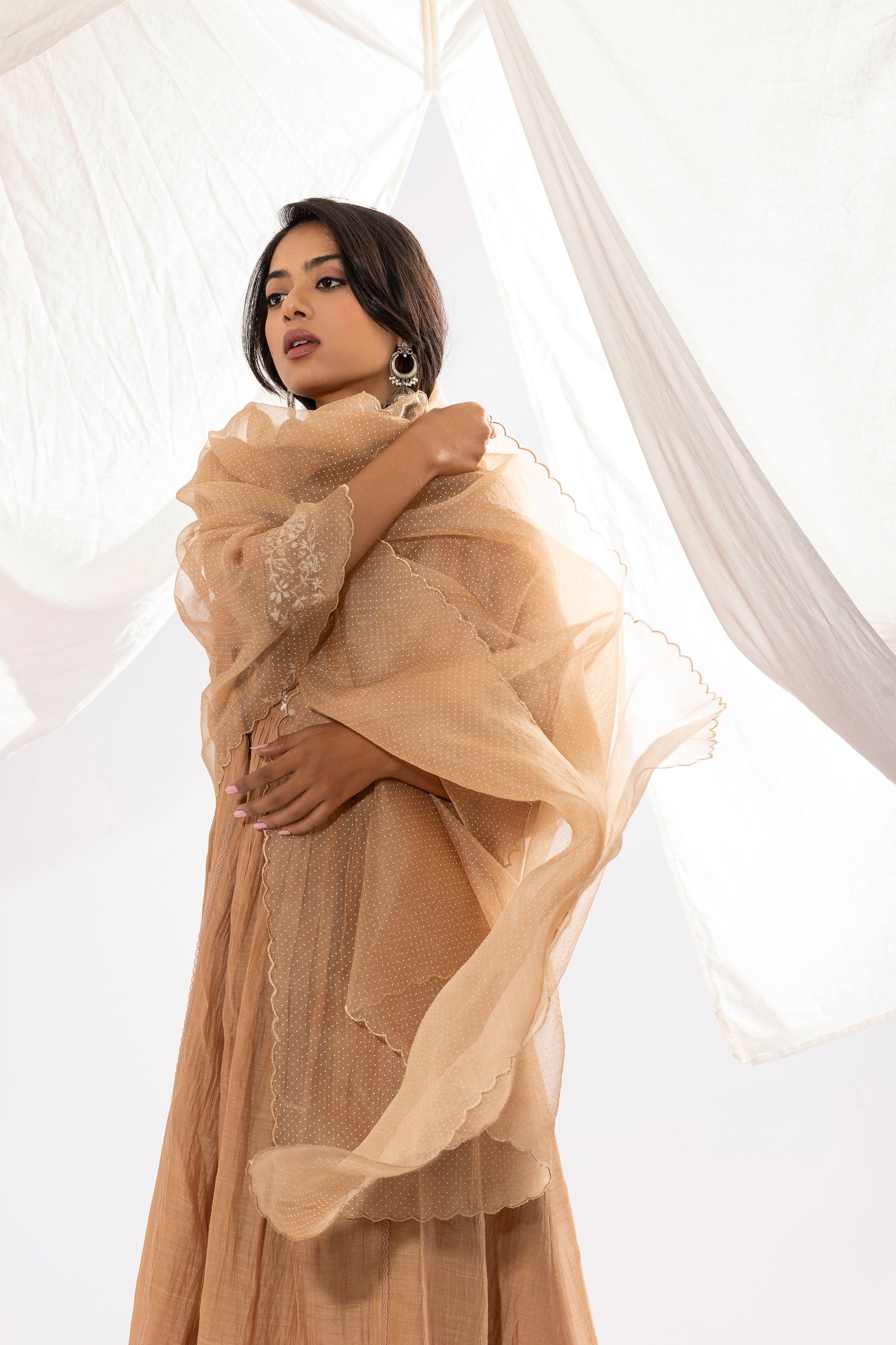 FRENCH BEIGE EMBROIDERED DUPATTA