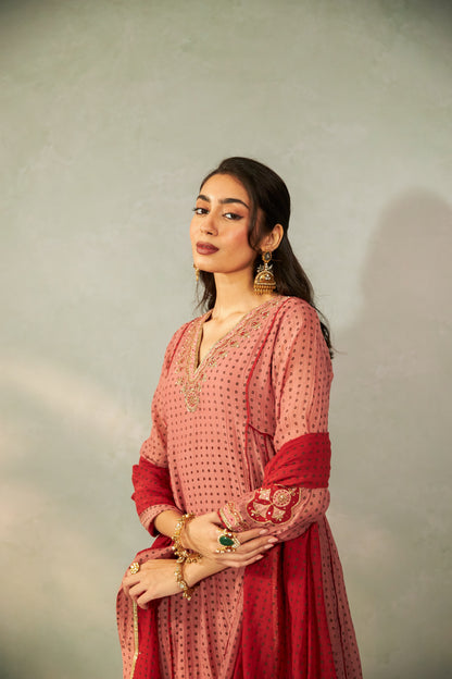 Bijli Begum Embroidered Kurta