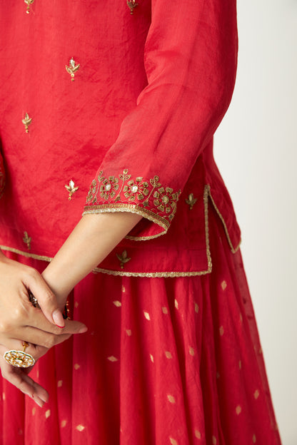 Chingari Rani Embroidered Kurta Set- Set of 3 - 14