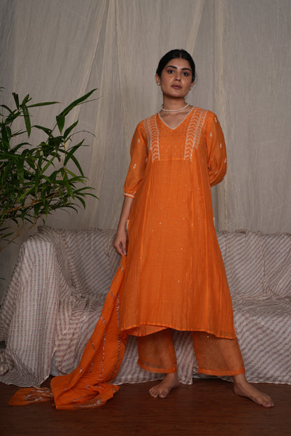 Crayon chikankari kurta