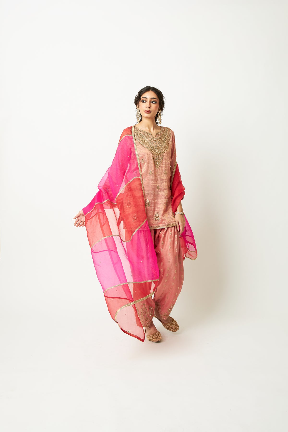 Lachak Leher Embroidered Dupatta - 2