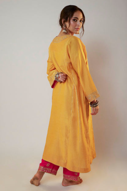 Meenakshi Embroidered Kurta Set