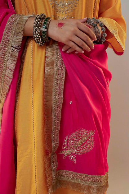 Meenakshi Embroidered dupatta