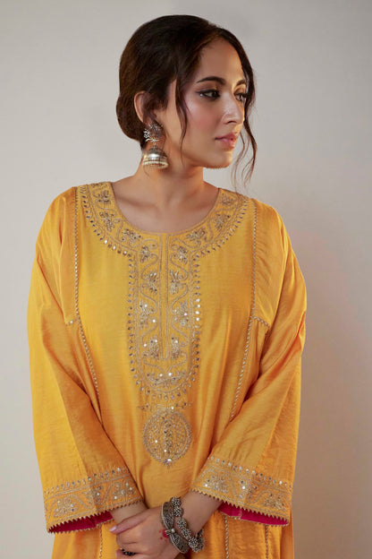 Meenakshi Embroidered Kurta Set