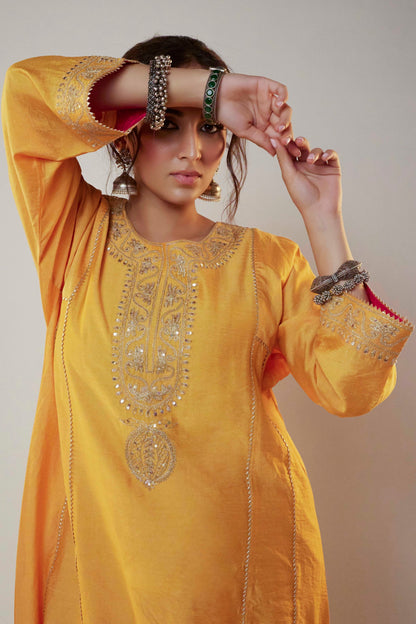 Meenakshi Embroidered Kurta Set