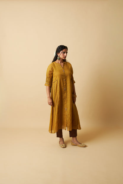 Sunehri Adaa Pants