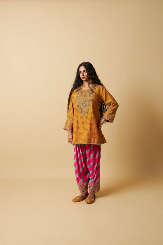 Basanti Bahaar Embroidered Farshi