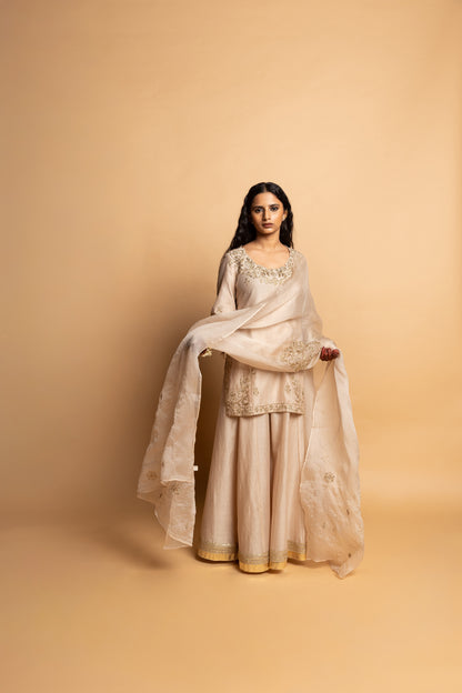 Chandrika embroidered dupatta