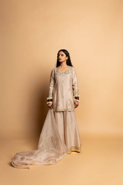Chandrika embroidered kurta set