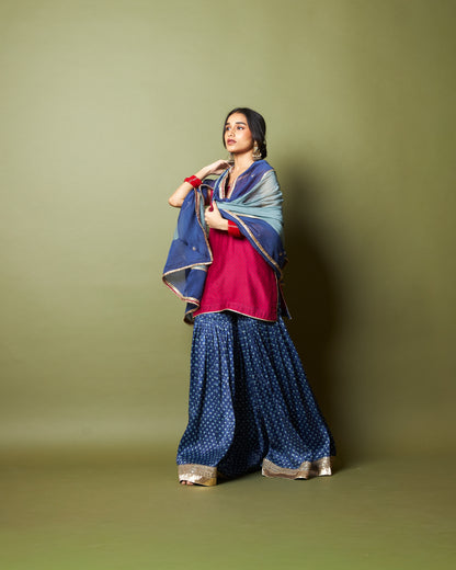 Neel kiran embroidered dupatta