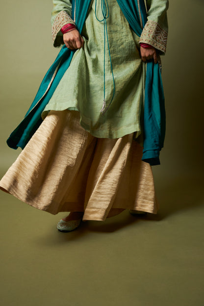 Noor-E-Manik sharara