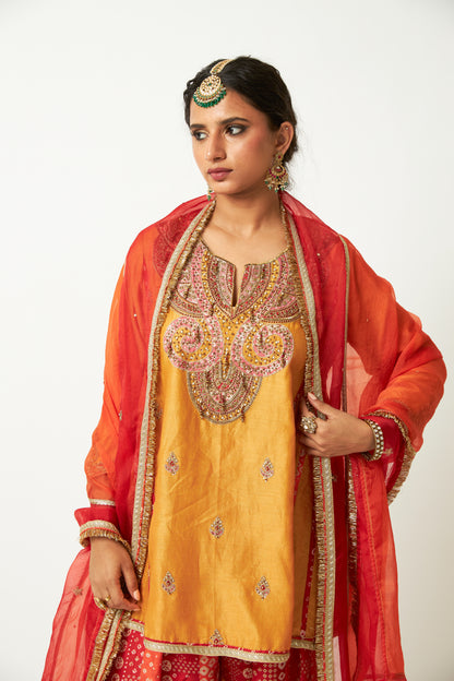 Rang Barse Embroidered Dupatta - 2