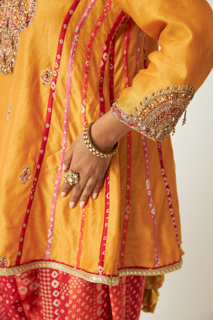 Rang Barse Embroidered Kurta - 7
