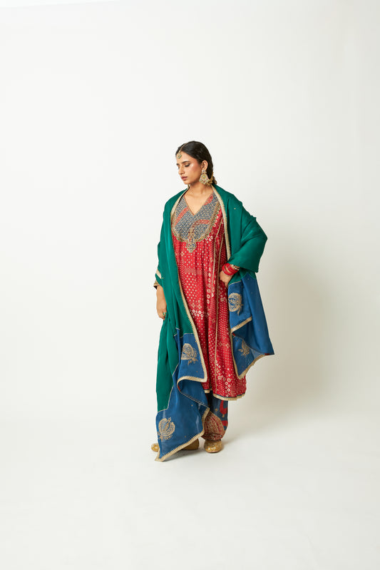 Rang Pataka Embroidered Dupatta - 1