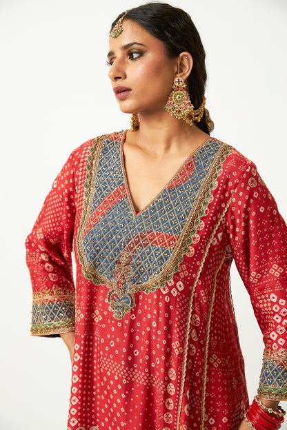 Rang Pataka Embroidered Kurta - 10