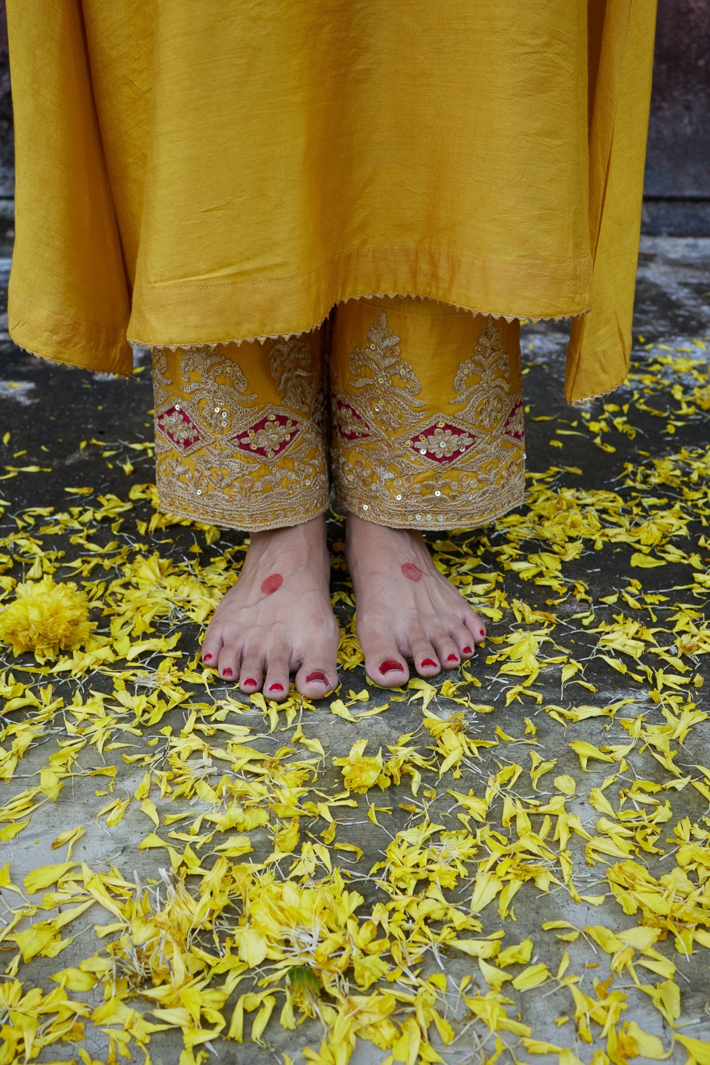 Swarna Embroidered Pants