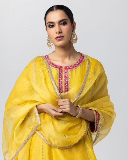 Ahvi Embroidered Dupatta