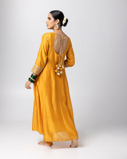 Kishori Embroidered Angrakha